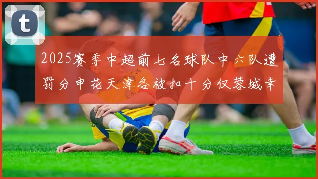 2025赛季中超前七名球队中六队遭罚分申花天津各被扣十分仅蓉城幸免