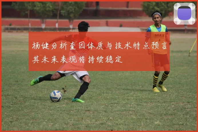 杨健分析奎因体质与技术特点预言其未来表现将持续稳定