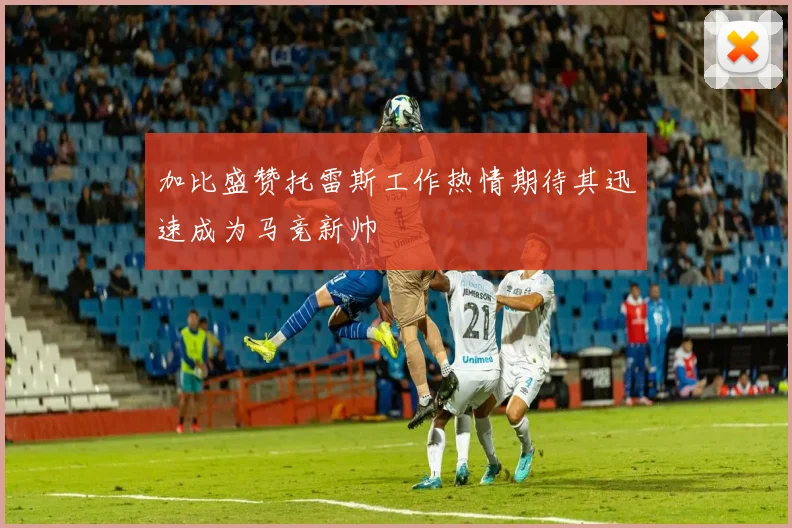 加比盛赞托雷斯工作热情期待其迅速成为马竞新帅