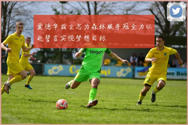 爱德华兹立志为森林狼夺冠全力以赴誓言实现梦想目标