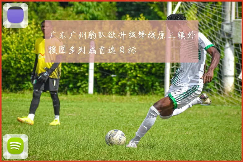 广东广州豹队欲升级锋线原三镇外援图多列成首选目标