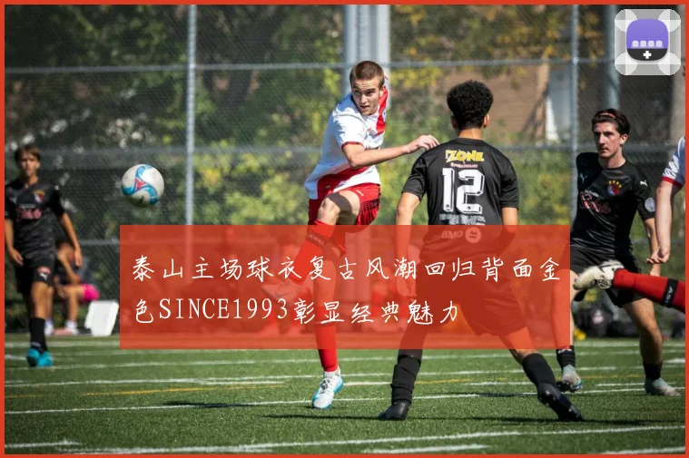 泰山主场球衣复古风潮回归背面金色SINCE1993彰显经典魅力