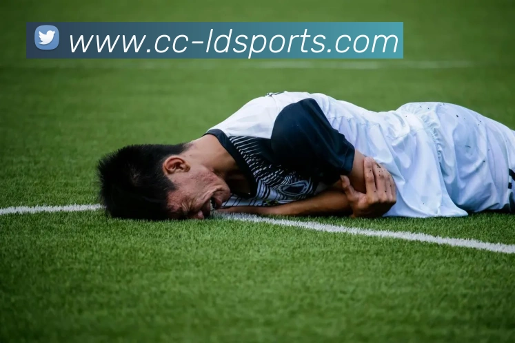 乐动体育APP 高清赛事图