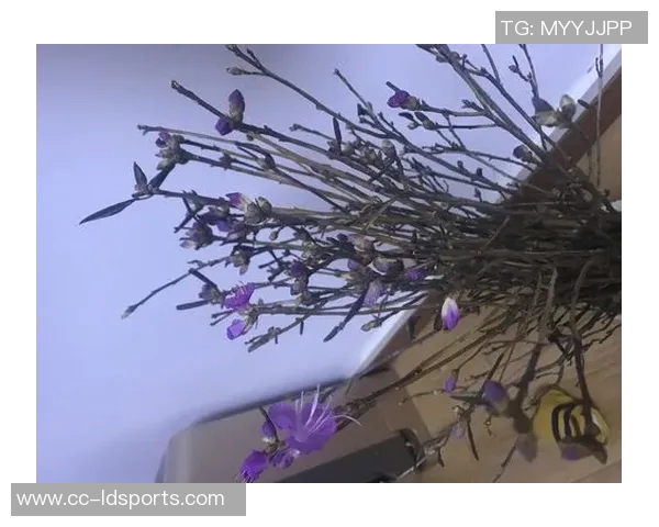 谢尔曼谈状态波动强调心态平和并随时准备上场比赛